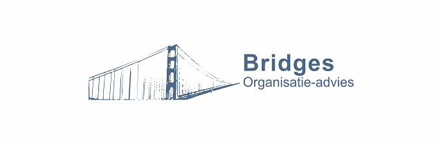 Bridges organisatie-advies